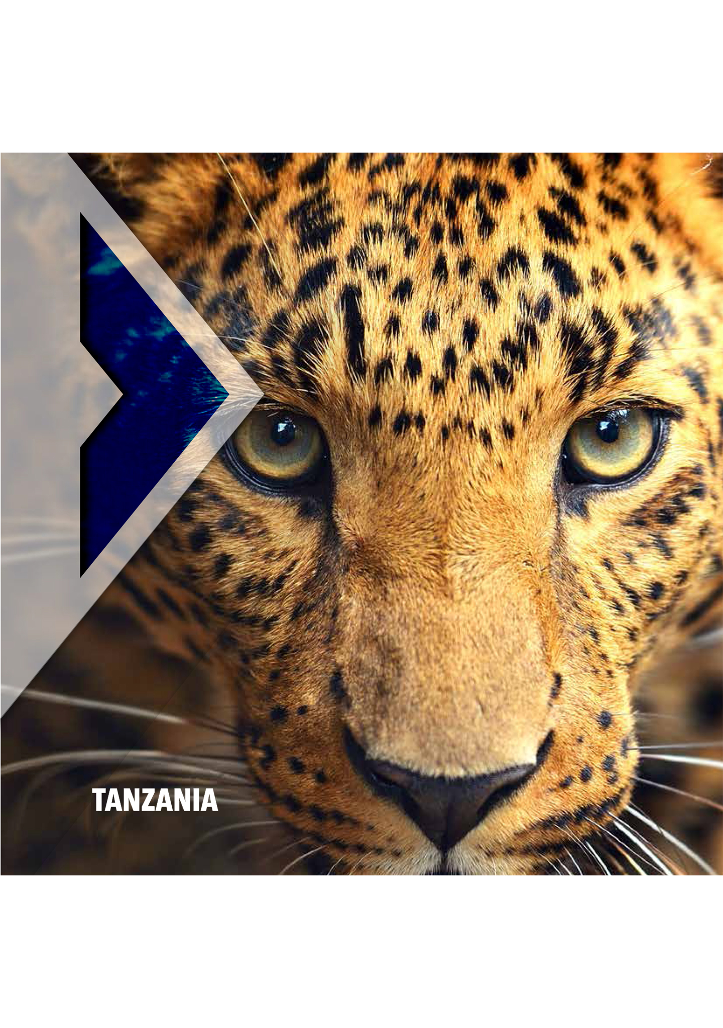 Tanzania E Zanzibar Experica   Tanzania 2024 Evidenza 